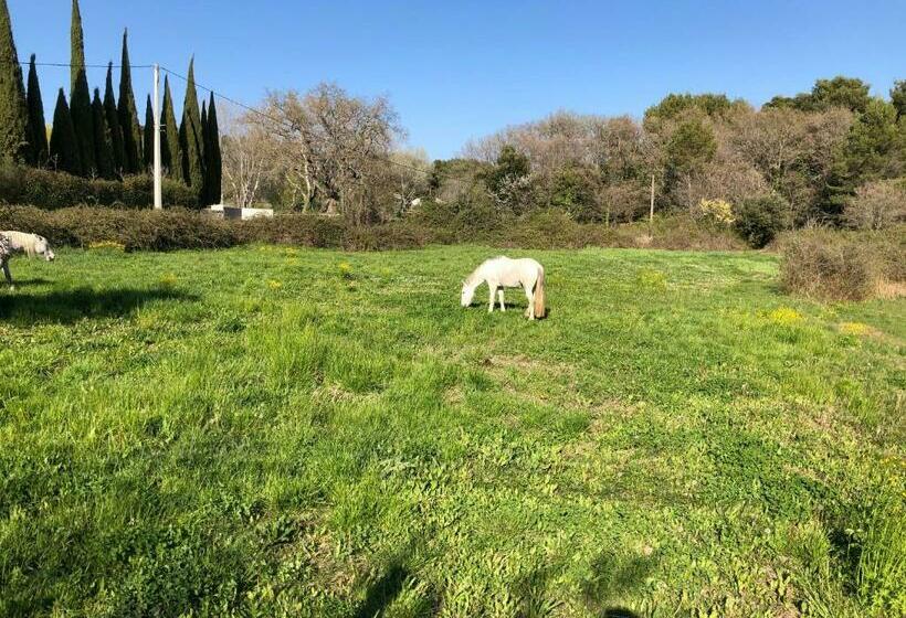 مبيت وإفطار Chambre Hôtes Les Garrigues Cucuron