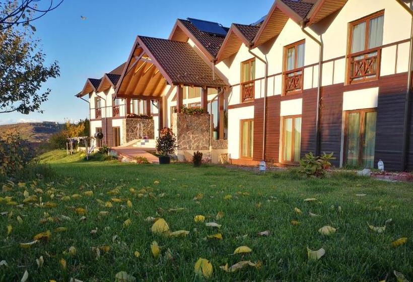 بنسيون Cabana Chalet Transylvania
