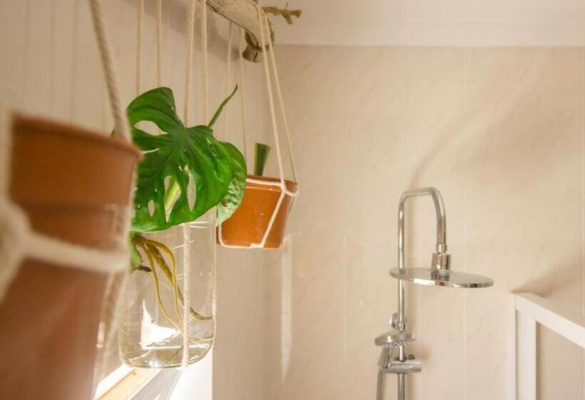 פנסיון Lemontree Eco Surfhouse