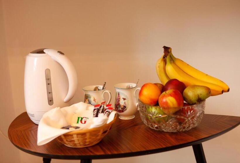 پانسیون Swan Guest House London   Heathrow