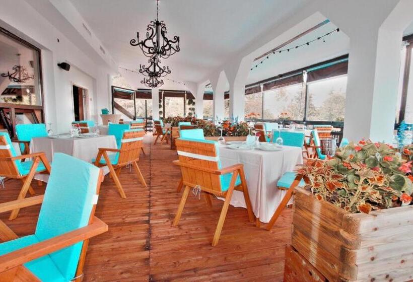 Alpin Resort Hotel   Apartamentele 2403 2404  Proprietate Administrata De Gazda Privata