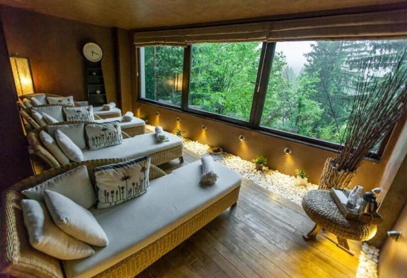 Alpin Resort Hotel   Apartamentele 2403 2404  Proprietate Administrata De Gazda Privata