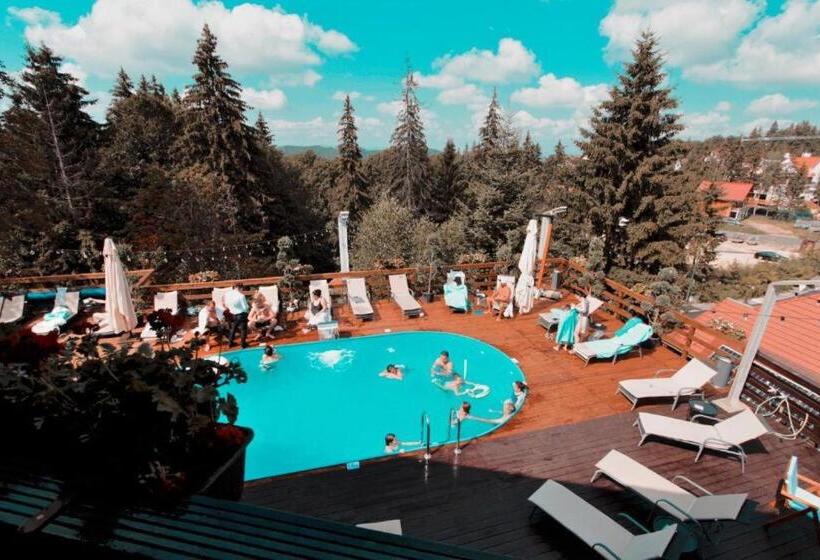 Alpin Resort Hotel   Apartamentele 2403 2404  Proprietate Administrata De Gazda Privata