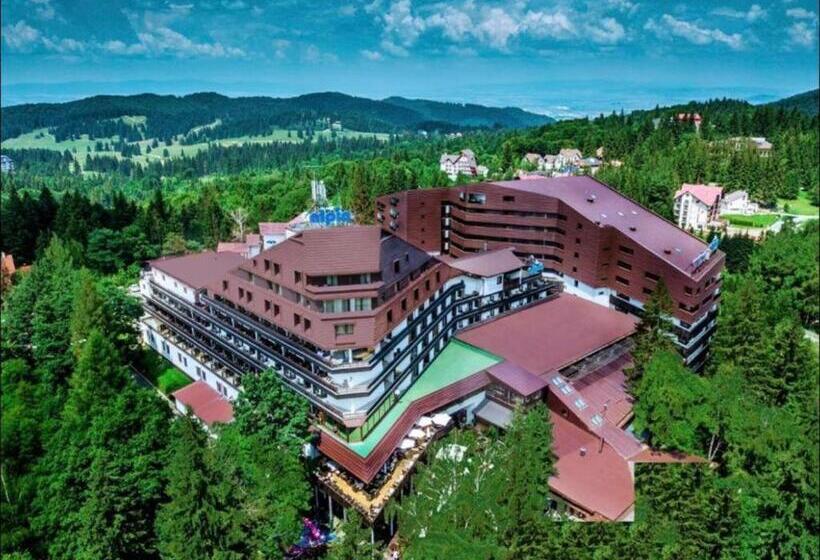 Alpin Resort Hotel   Apartamentele 2403 2404  Proprietate Administrata De Gazda Privata