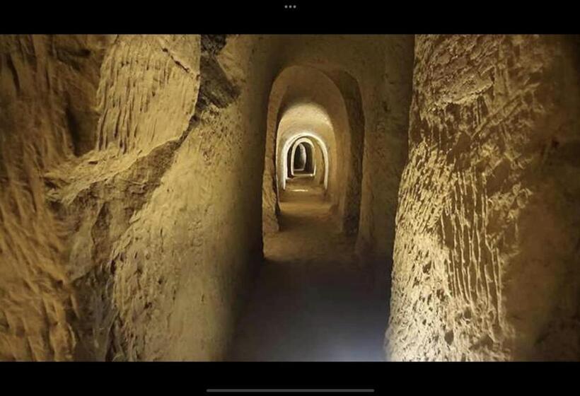 膳宿费 Auximum Appartamenti