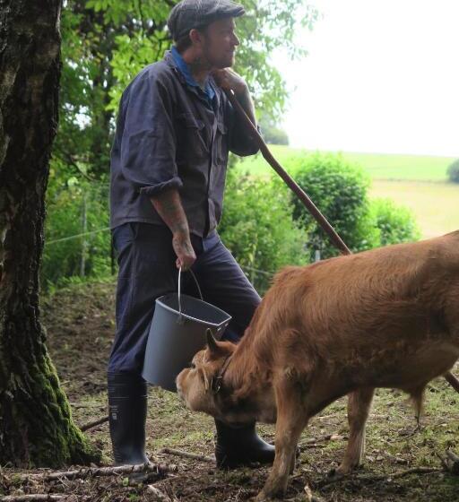 Отель Graslandhof