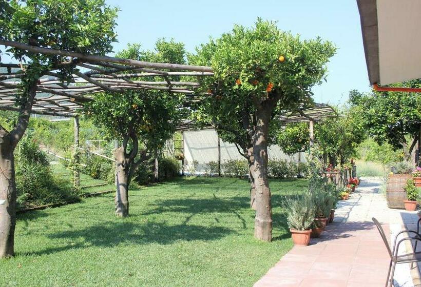 Bed and Breakfast Terra E Cielo