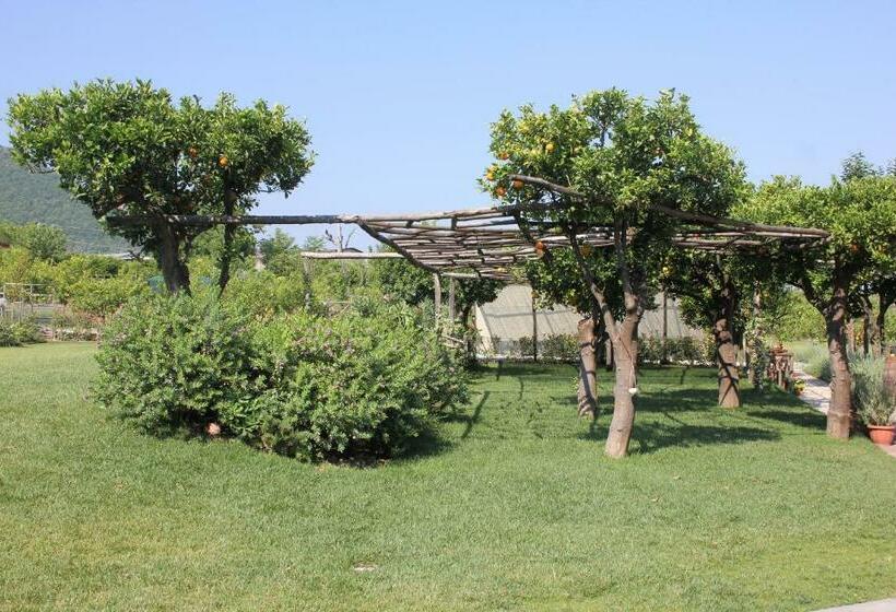 Bed and Breakfast Terra E Cielo