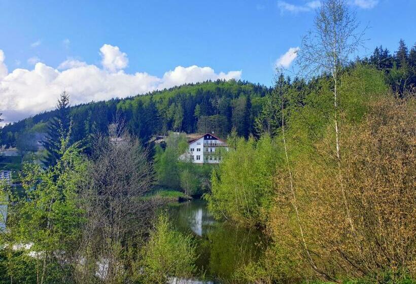 Отель Penzion Lumis