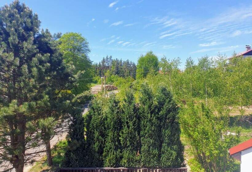 Отель Penzion Lumis