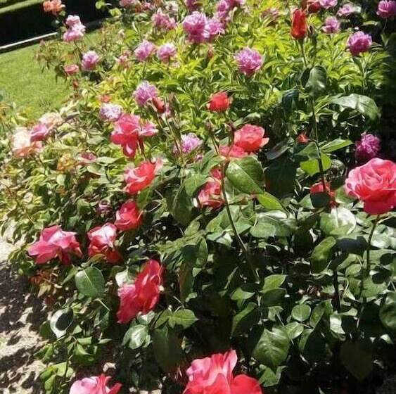 ベッドアンドブレックファースト La Vigneronne