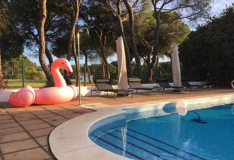 ベッドアンドブレックファースト Villa De La Luz Luxury Guesthouse