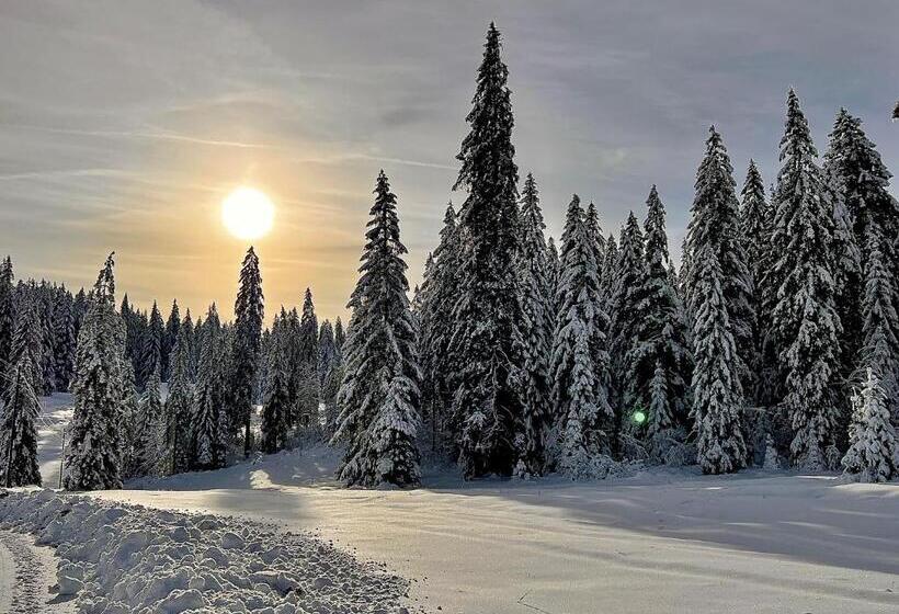 فندق Hôtel Restaurant Les Cernets Swiss Lodge Ssh