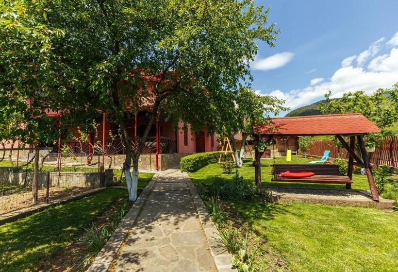 پانسیون Casa Dintre Munti Karina