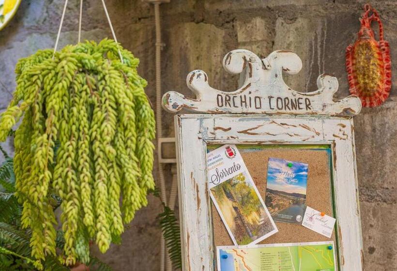 ベッドアンドブレックファースト Orchid Corner Guesthouse