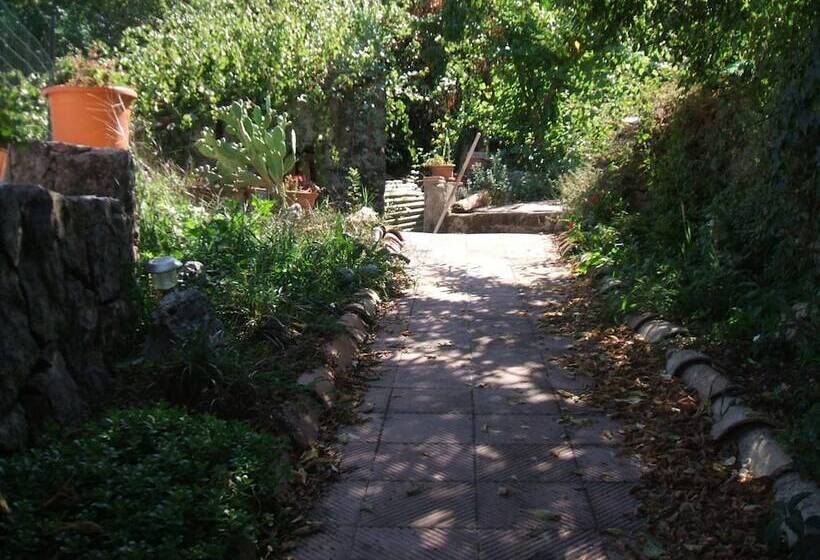 Bed and Breakfast Su Ghindalu Guesthouse