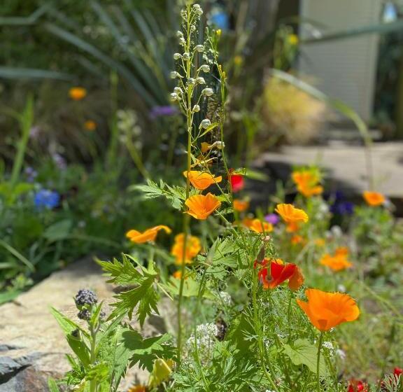 پانسیون The Willow Guest Suite