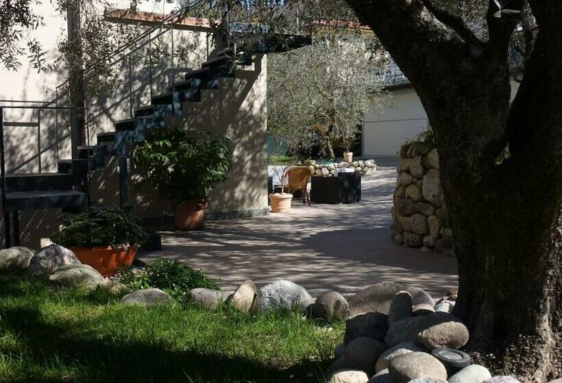 B&b Forsesiforseno