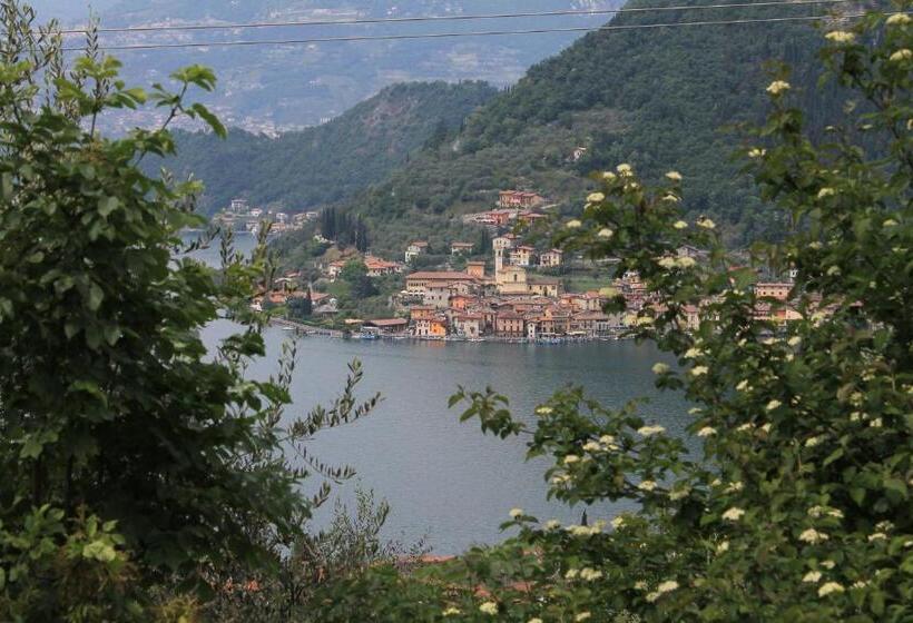 B&b Forsesiforseno