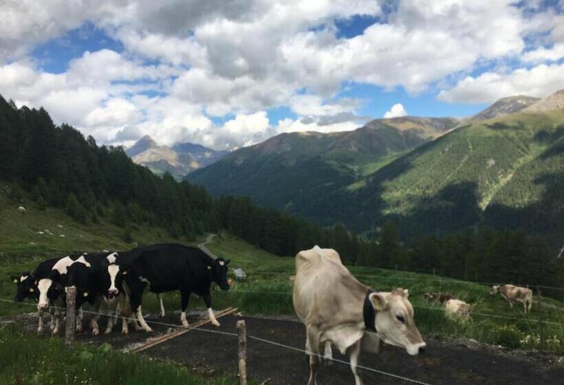 Bed and Breakfast Alp Es Cha Dadour