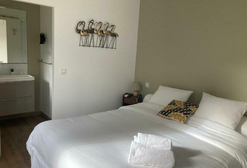 ベッドアンドブレックファースト Le Patio, Chambres D Hôtes Pour Adultes En Camargue, Possibilité De Naturisme à La Piscine