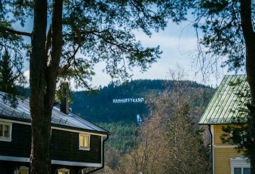 فندق صغير Hammarstrand Budget Hotell  Lergodset