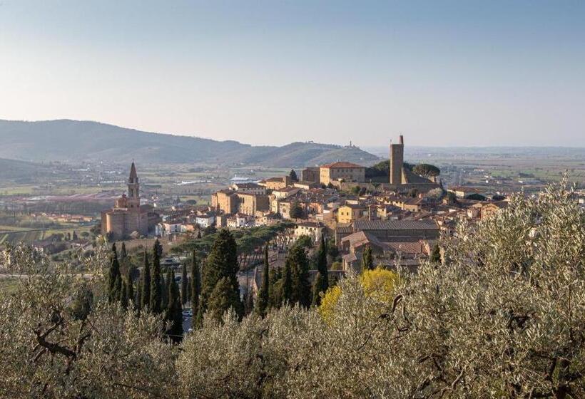 ペンション Camera Suite Romantica Con Giardino In Dimora Storica   B&b Palazzo Robicci