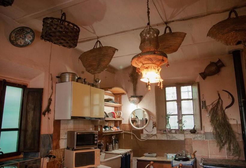 Общежитие Centro Studi Nuovarmonia