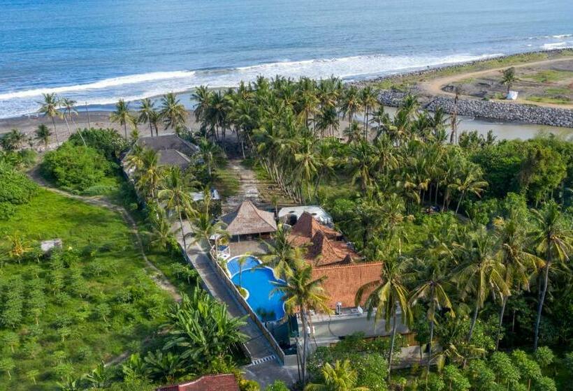 住宿加早餐  Kutus Kutus Estuary Saba Beach