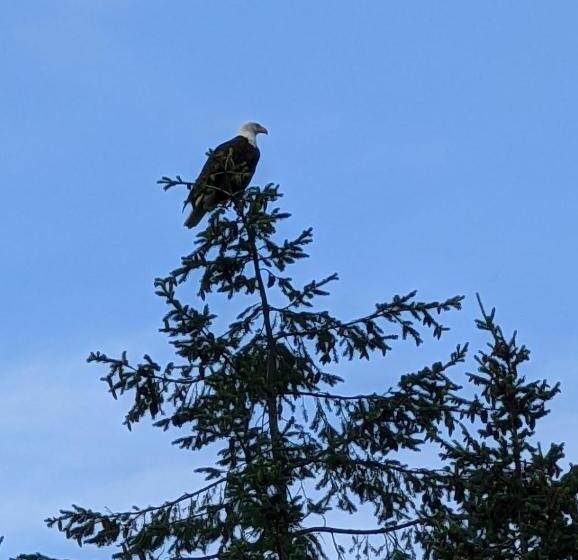 مبيت وإفطار Maple Rise Guesthouse