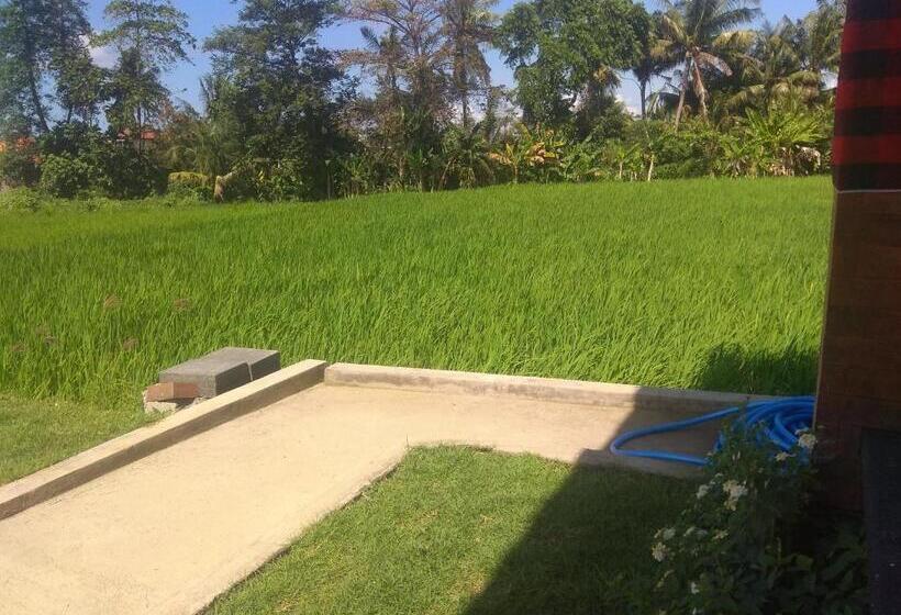 펜션 Tamiu Guesthouse At Desa Wisata Keramas Near Keramas Surf Beach