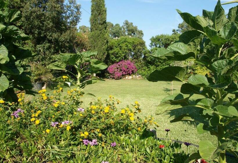 B&b Nel Giardino In Fiore