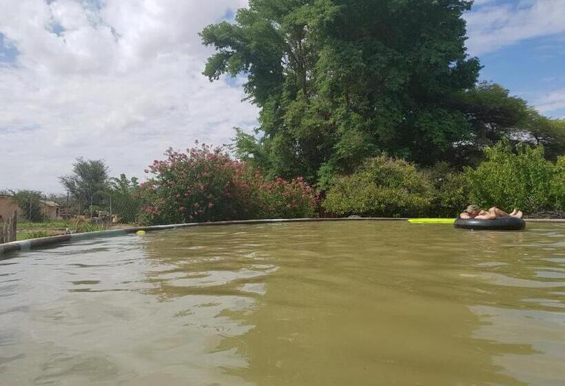 בית מלון כפרי Orangeriverguestfarm