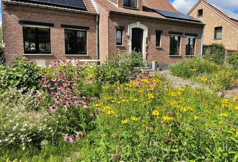 پانسیون B&b Den Biesthoek