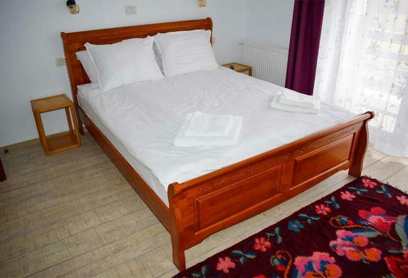بنسيون Casa Traistau