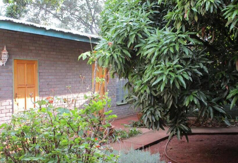 ペンション Lutea Guest House