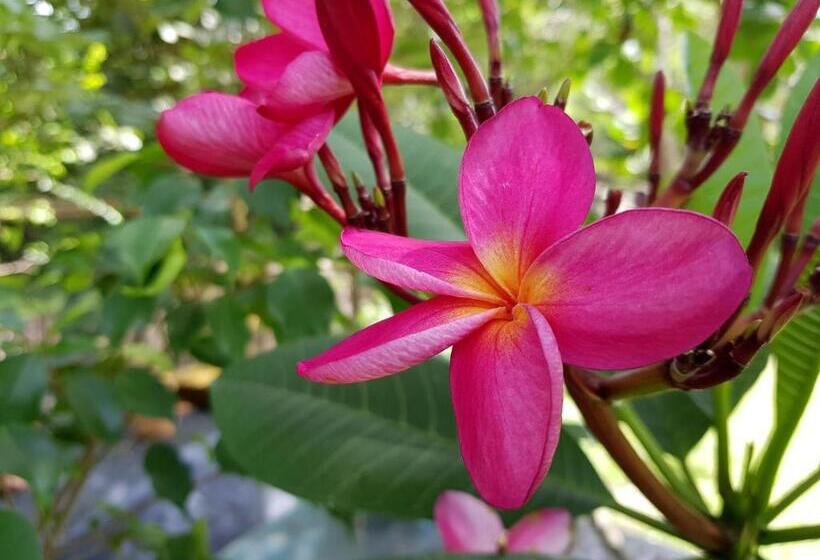 پانسیون Pousada Vila Guyrá