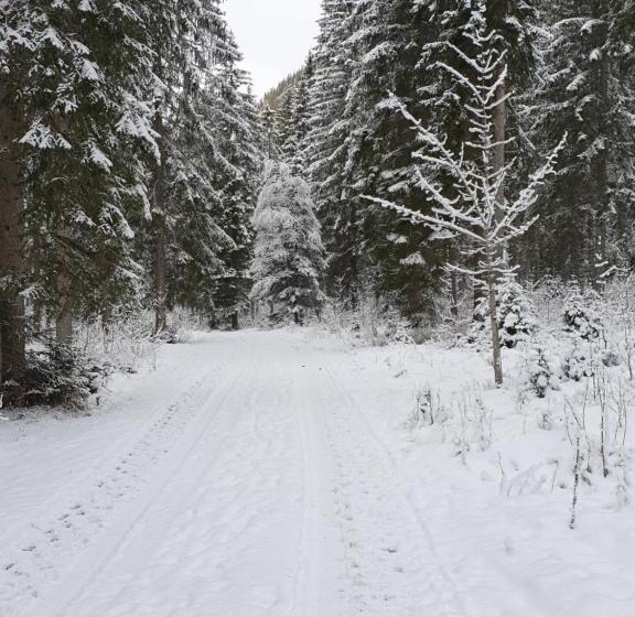 旅馆 Ammerwald Alm