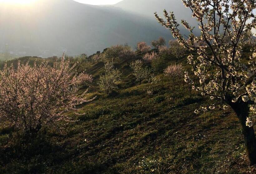 تختخواب و صبحانه La Sorpresa