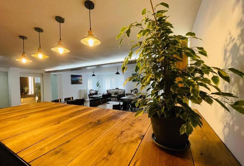 ペンション Valea Putnei Residence  Rooms For Rent