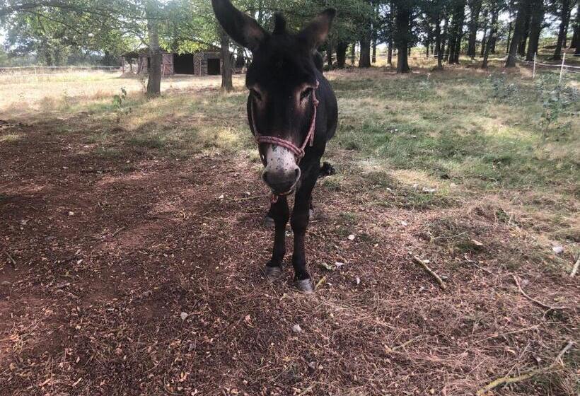 פנסיון Chambre Romantique Dans Le Château De La Bouchatte
