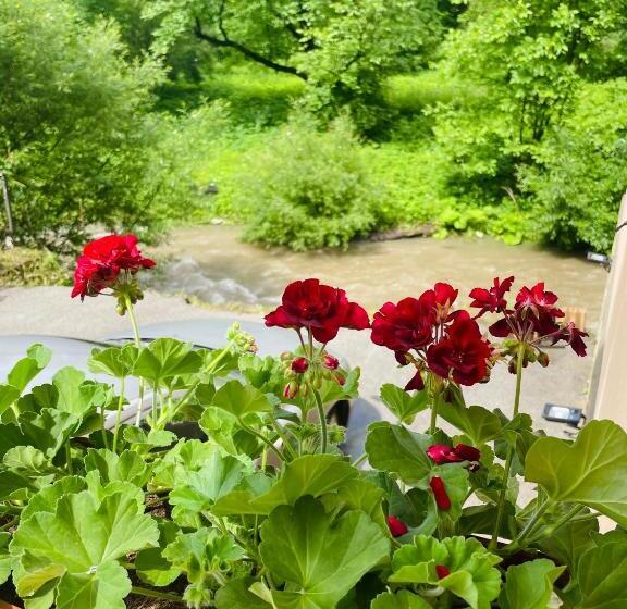 پانسیون Guest House Mikaela