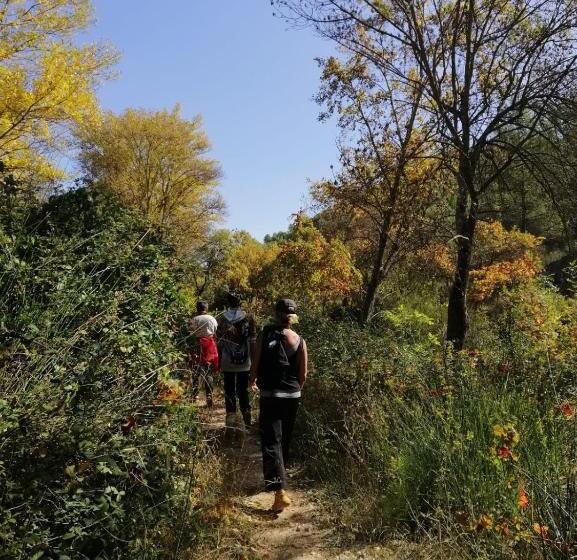 住宿加早餐  Casa Proyecto Pepe Bravo   Arte De Manos Y Corazón