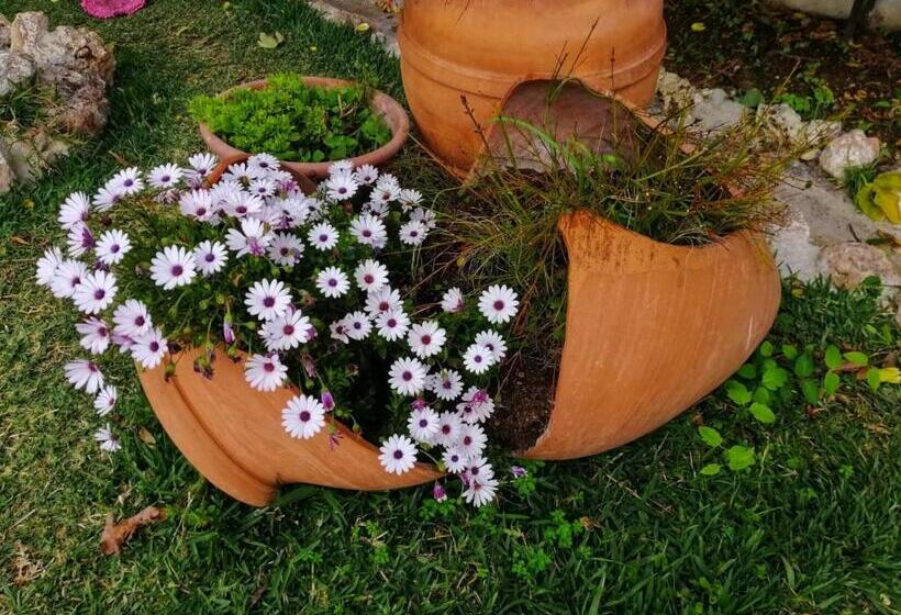 住宿加早餐  Casa Proyecto Pepe Bravo   Arte De Manos Y Corazón