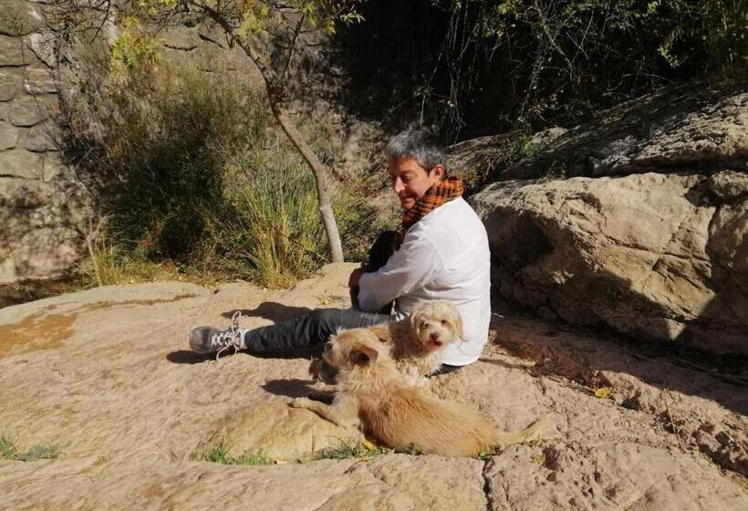 住宿加早餐  Casa Proyecto Pepe Bravo   Arte De Manos Y Corazón