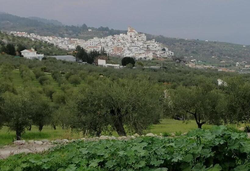 住宿加早餐  Casa Proyecto Pepe Bravo   Arte De Manos Y Corazón