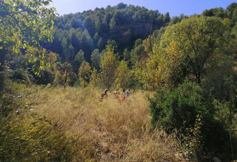 住宿加早餐  Casa Proyecto Pepe Bravo   Arte De Manos Y Corazón