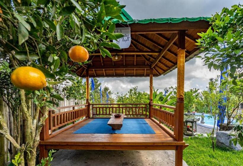 Bed and Breakfast Sandan Agro Resort Kintamani