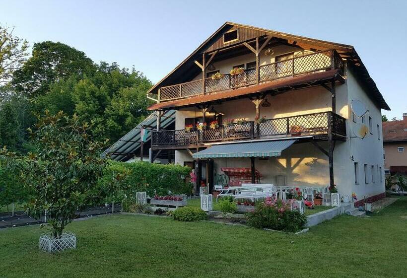 민박 Villa Negra Retro Panzió