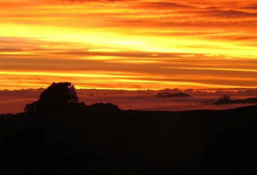 פנסיון Waihi Gold Alpacas 3 Or 4 People